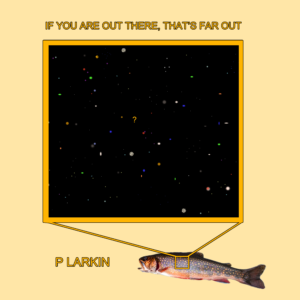 P. Larkin – If You Are Out There, That’s Far Out