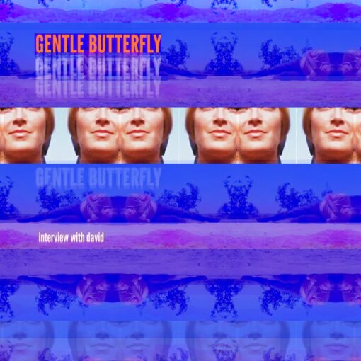 Gentlebutterfly - Interview with David
